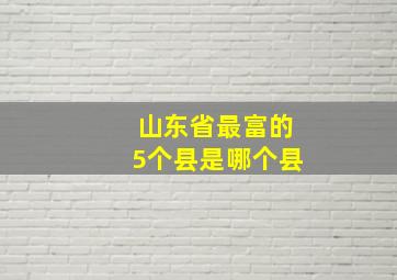 山东省最富的5个县是哪个县