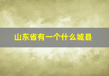 山东省有一个什么城县