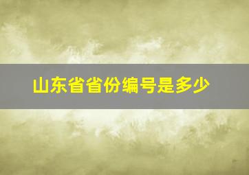 山东省省份编号是多少