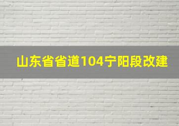 山东省省道104宁阳段改建