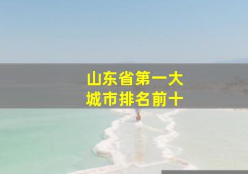 山东省第一大城市排名前十