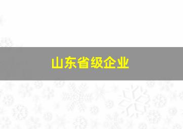 山东省级企业