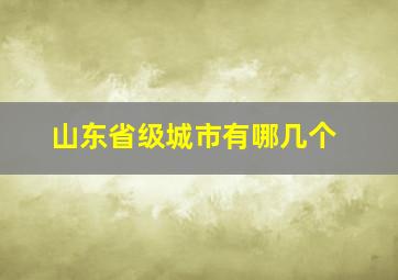 山东省级城市有哪几个