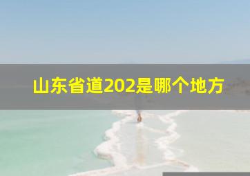 山东省道202是哪个地方