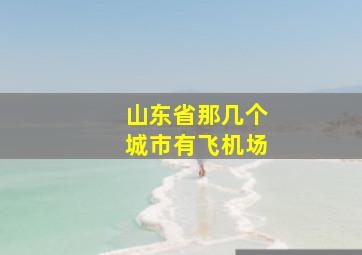 山东省那几个城市有飞机场