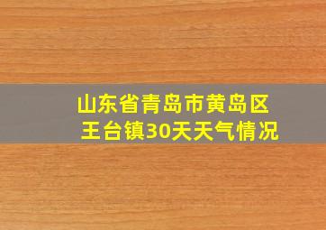 山东省青岛市黄岛区王台镇30天天气情况