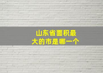 山东省面积最大的市是哪一个