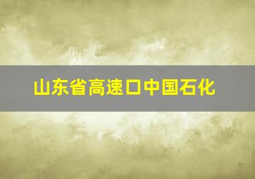 山东省高速口中国石化