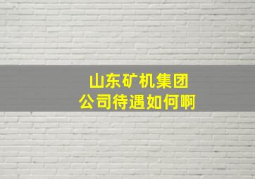 山东矿机集团公司待遇如何啊