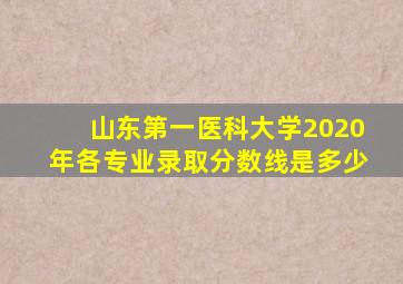 山东第一医科大学2020年各专业录取分数线是多少