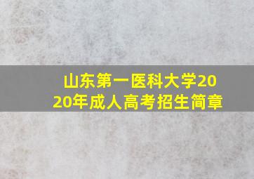 山东第一医科大学2020年成人高考招生简章