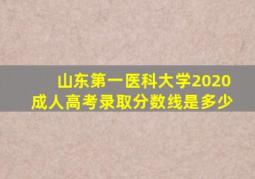 山东第一医科大学2020成人高考录取分数线是多少