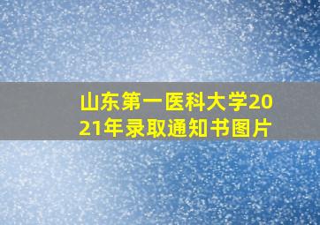 山东第一医科大学2021年录取通知书图片