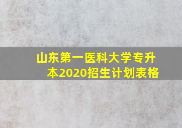 山东第一医科大学专升本2020招生计划表格