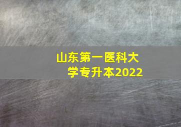 山东第一医科大学专升本2022