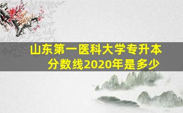 山东第一医科大学专升本分数线2020年是多少