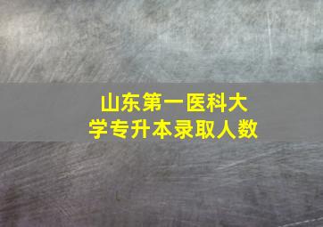 山东第一医科大学专升本录取人数