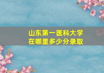 山东第一医科大学在哪里多少分录取