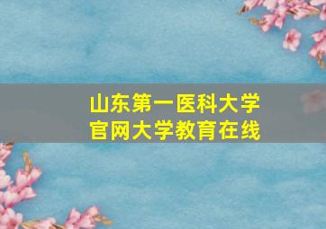 山东第一医科大学官网大学教育在线