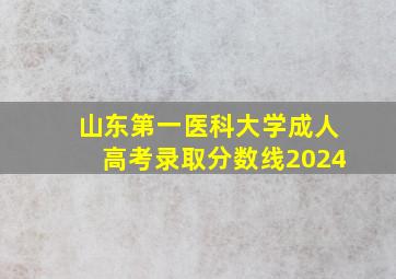 山东第一医科大学成人高考录取分数线2024