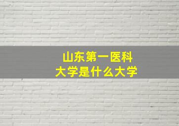 山东第一医科大学是什么大学