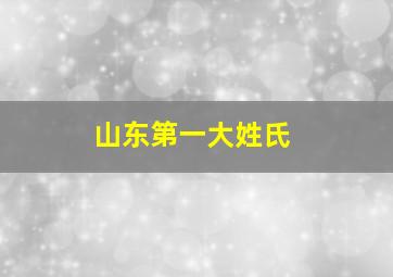 山东第一大姓氏