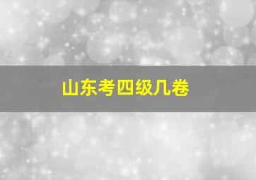 山东考四级几卷