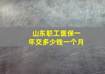 山东职工医保一年交多少钱一个月