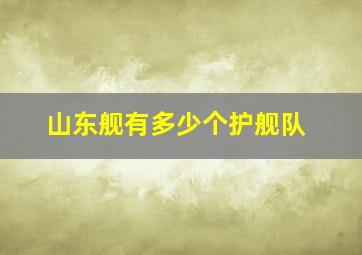 山东舰有多少个护舰队