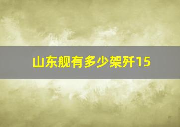 山东舰有多少架歼15