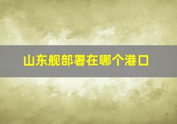 山东舰部署在哪个港口