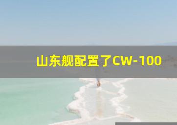 山东舰配置了CW-100