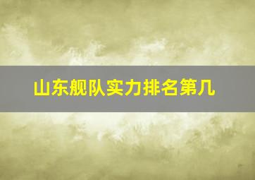 山东舰队实力排名第几