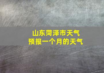 山东菏泽市天气预报一个月的天气