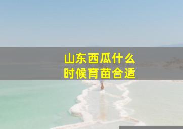 山东西瓜什么时候育苗合适