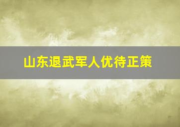 山东退武军人优待正策