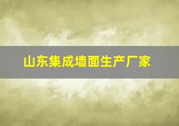 山东集成墙面生产厂家