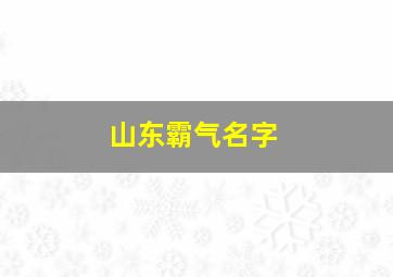 山东霸气名字