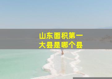 山东面积第一大县是哪个县