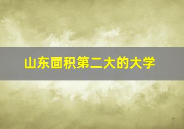 山东面积第二大的大学