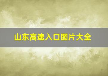 山东高速入口图片大全