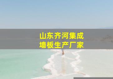 山东齐河集成墙板生产厂家