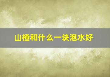 山楂和什么一块泡水好