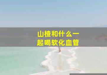 山楂和什么一起喝软化血管