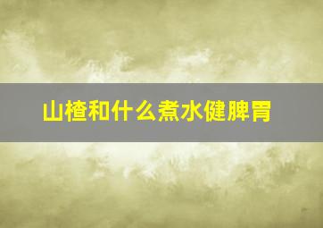 山楂和什么煮水健脾胃