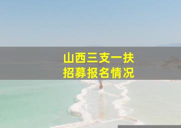 山西三支一扶招募报名情况