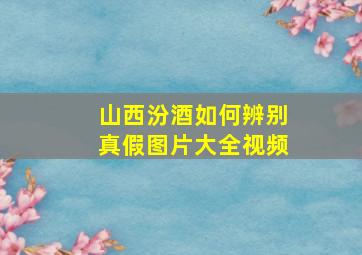 山西汾酒如何辨别真假图片大全视频