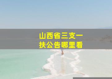 山西省三支一扶公告哪里看