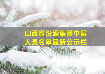 山西省汾酒集团中层人员名单最新公示栏