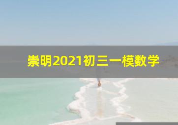 崇明2021初三一模数学